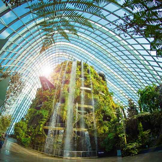 Gardens by the Bay